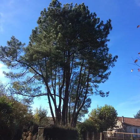 Holiday Home Route De Saint-Gaux Holiday home