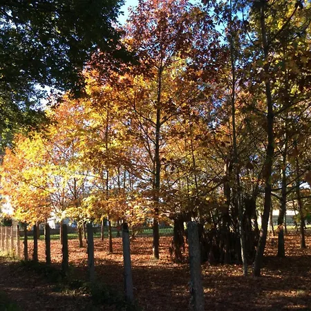 Holiday home Holiday Home Route De Saint-Gaux *
